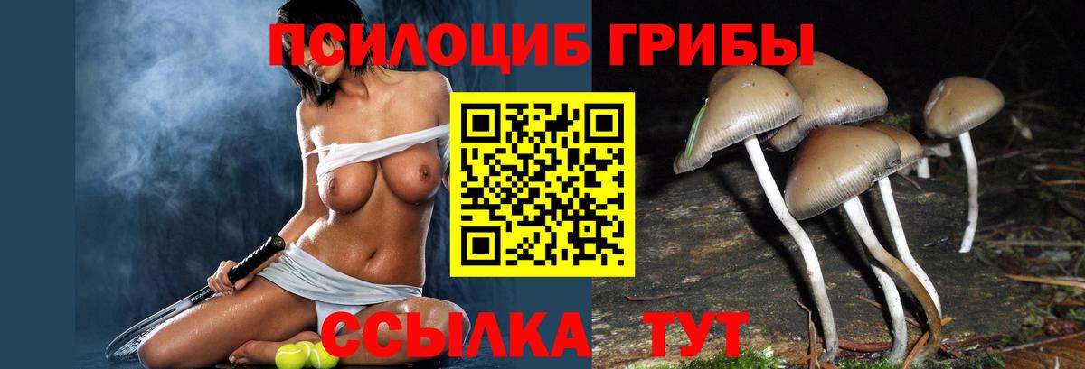 Галлюциногенные грибы мухоморы  Вход с VPN  Жуковский 