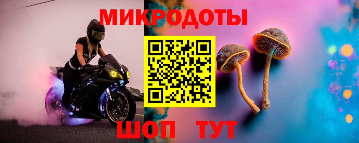 Псилоцибиновые грибы мухоморы Жуковский